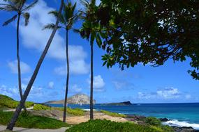 Oahu Hawaii