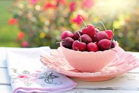 Cherries Bowl Pink
