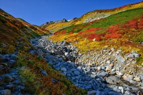 Autumnal Leaves The Alpine Zone
