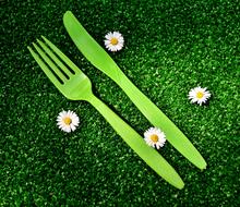 Picnic Cutlery Plastic One