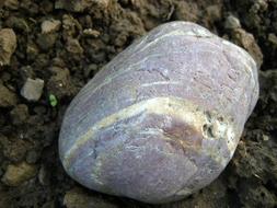 Stone Earth Garden
