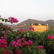 Jaipur Jal Mahal view