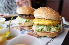 Burger Hamburger Habit