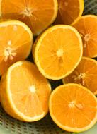 Beautiful, cute, ripe oranges in light