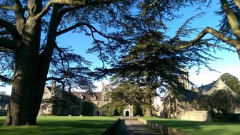 Country Manor