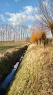 Ditch Clouds