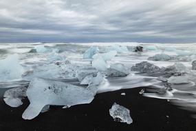 chunks of ice by the water