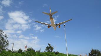 Airport The Palmas