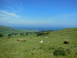 Travel Landscape Ireland