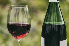 Wine Retro Glass