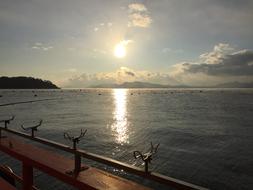 Line Fishing Masan Rising