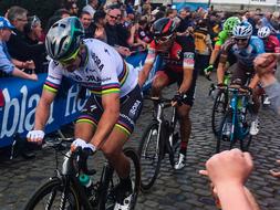 Peter Sagan Professional Cyclist