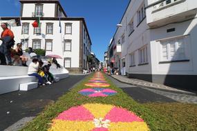 Festival Azores Flowers in ponta delgada