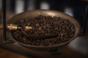 fresh delicious coffee beans
