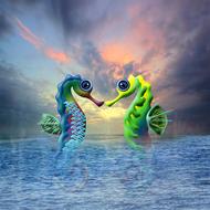seahorse water sea meeresbewohner