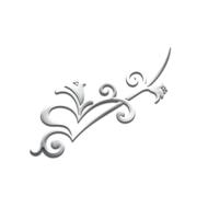 png ornament trim silver