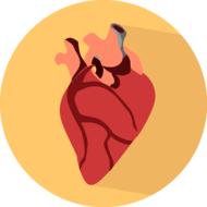 heart body human organ button