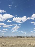 Southwest Sky