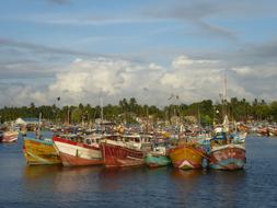Boats Fishing Sri Lanka