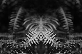 boating black white fantasy dark