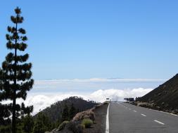 Europe Spain Canary Islands landscape