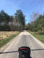 Way Spring