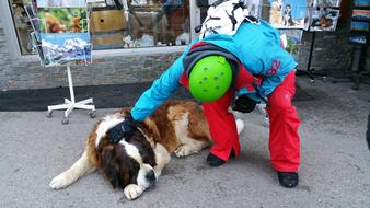 St Bernard Chatel Portes Du Soleil