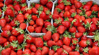 Juicy delicious strawberries