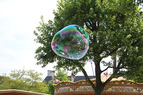 Bubbles Tree