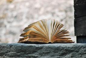 Book Story Fairy tale