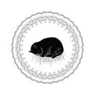 small black cat in a frame