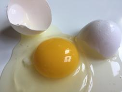 Egg Broken White