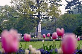 Park Sculpture Flowers