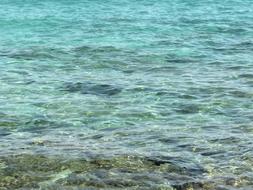 Sea Wave Mirroring