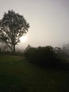 Fog Tallangatta