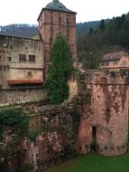 Heidelberg Castle Heidelberger