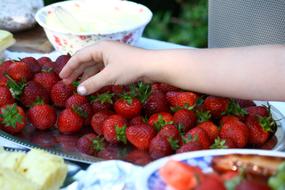 Strawberries and Child Hand