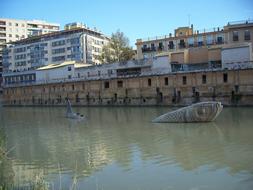 stone sculpture of fish in a river