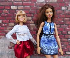 Barbie Doll Urban Brick