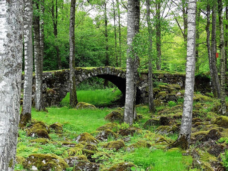 Landscapes Greenery Stone Bridge
