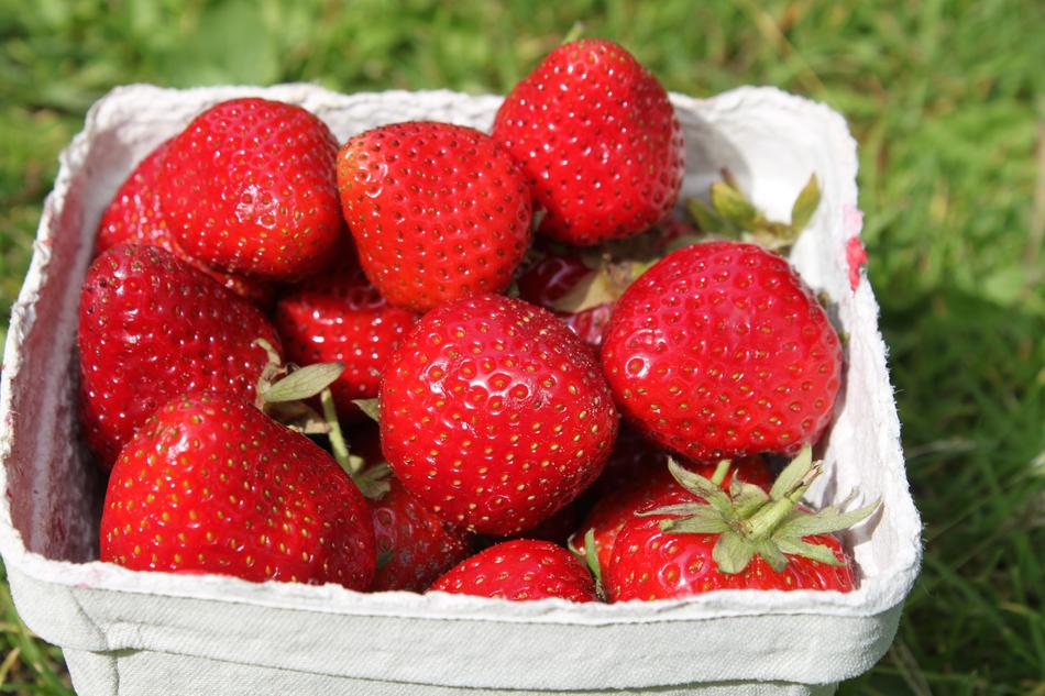 ripe strawberries in a basket