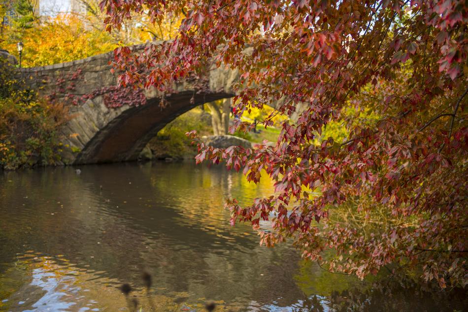 Bridge Nyc River