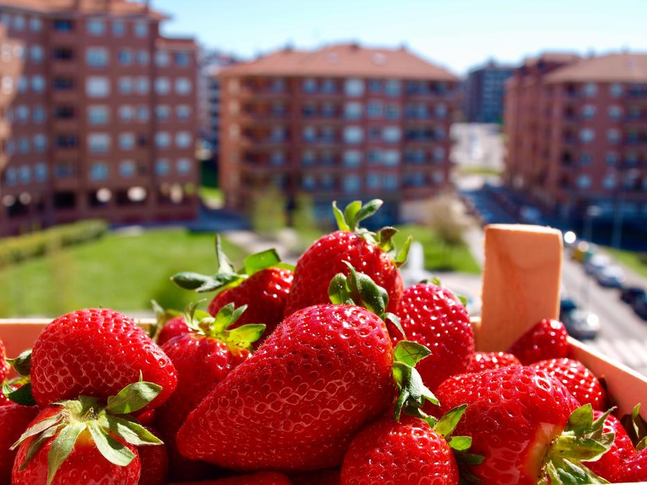 Strawberries Summer