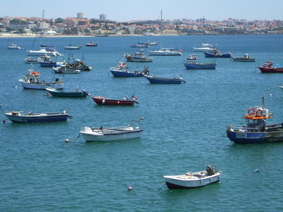 Sea Boats