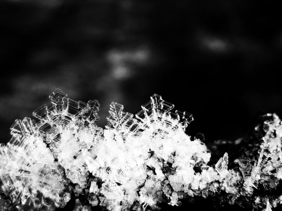white crystal flowers