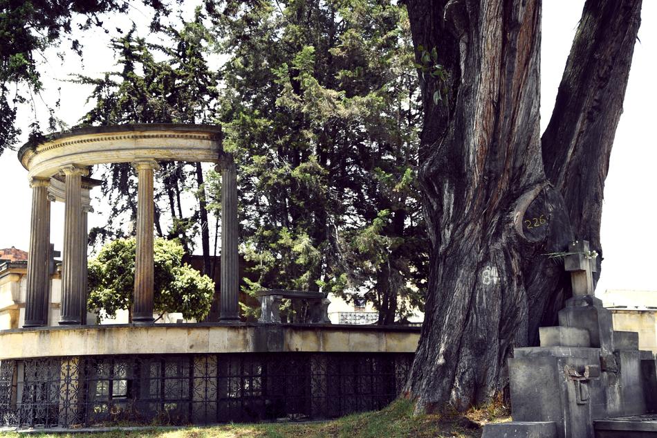 Cemetery Bogota