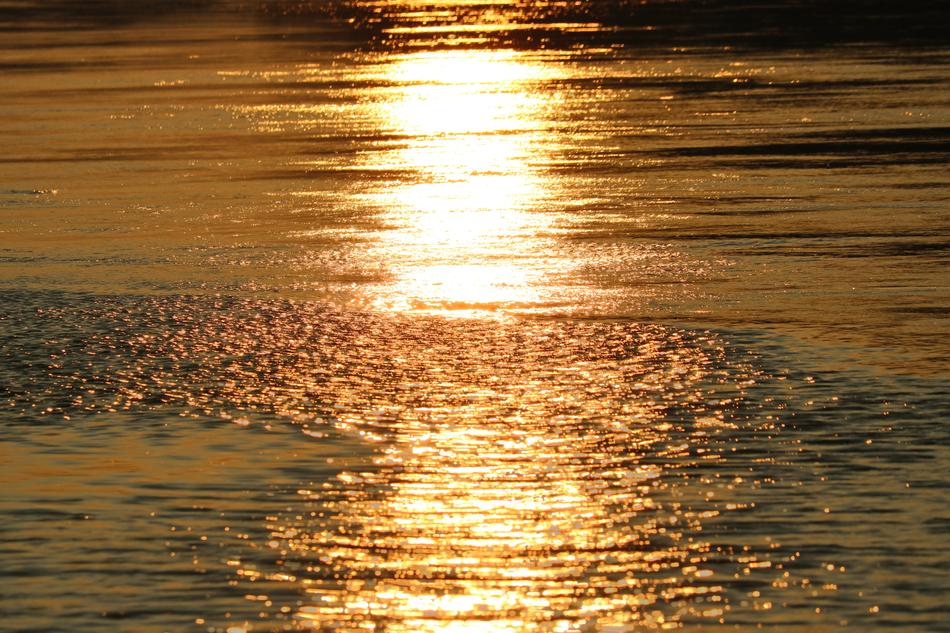 Morning Water River