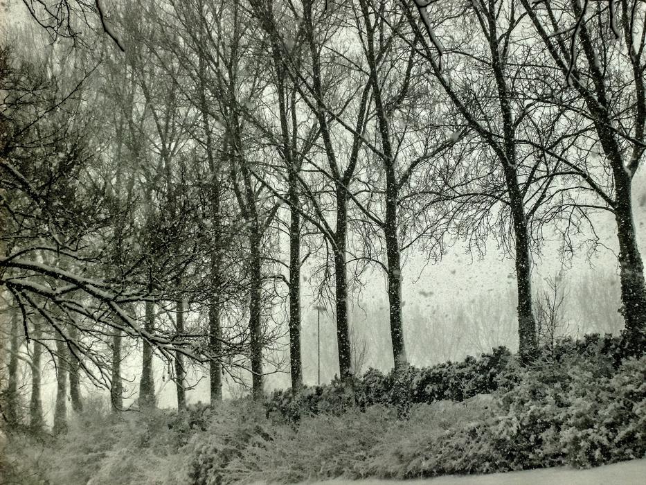 Snow Ice Winter