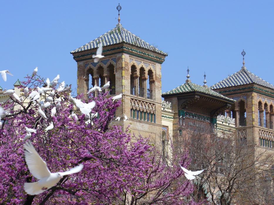 Doves Flight