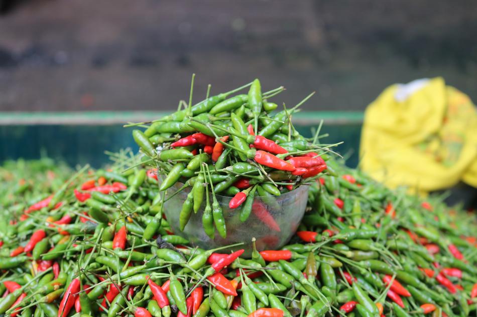 Pepper Fair
